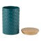 DII Teal Matte Retro Vine Texture Ceramic Canister (Set of 3)